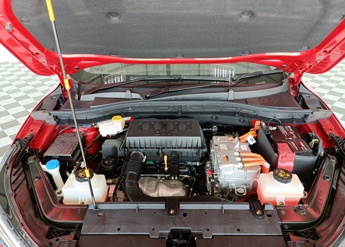 Main Image