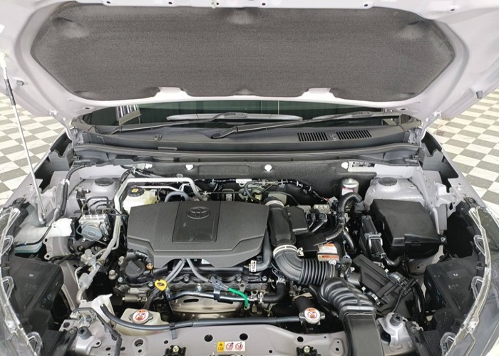 Main Image